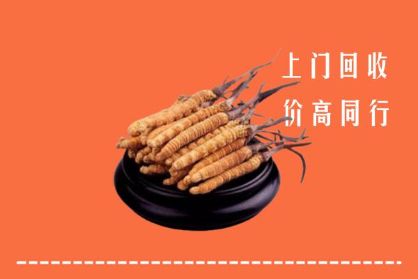附近收购：西安冬虫夏草回收多少钱每克